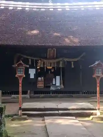國王神社の御朱印 2025年06月