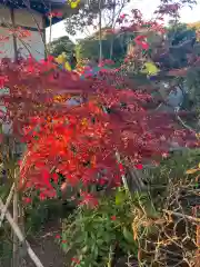 宇賀神社(神奈川県)