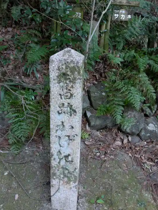 石清水八幡宮の{uncategorized: "未分類", other: "その他", undefined: "問題あり", building: "その他建物", grave: "お墓", sacred_gate: "鳥居", guardian: "狛犬", statue: "像", buddha: "仏像", history: "歴史", nature: "自然", garden: "庭園", animal: "動物", pagoda: "塔", temizu: "手水舎", mountain_gate: "山門・神門", sanctuary: "本殿・本堂", subordinate: "末社・摂社", art: "芸術", scenery: "景色", jizo: "地蔵", ema: "絵馬", goshuin: "御朱印", omikuji: "おみくじ", items: "授与品その他", amulet: "お守り", goshuincho: "御朱印帳", eats: "食事", festival: "お祭り", votive_dance: "神楽", shichigosan: "七五三参", wedding: "結婚式", experience: "体験その他", initially: "初詣", around: "周辺", anti_infection: "感染症対策"}