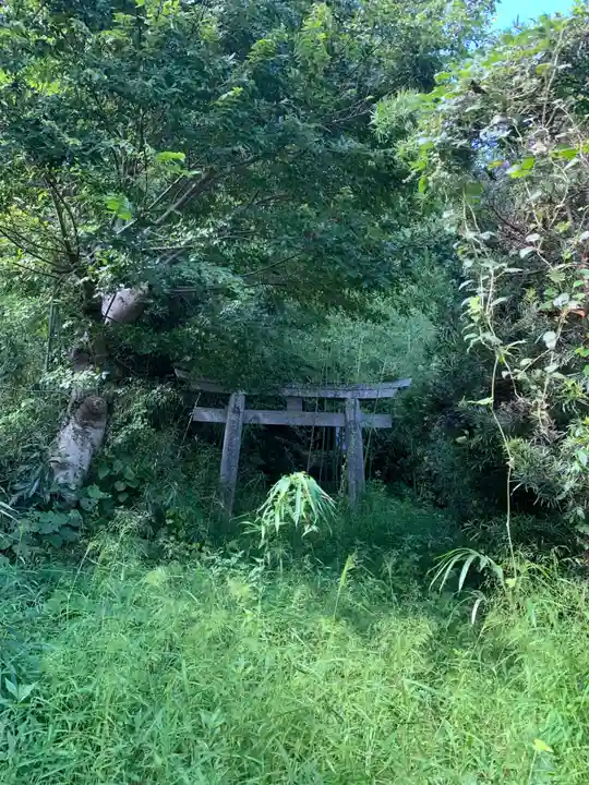 熊野大権現(千葉県)