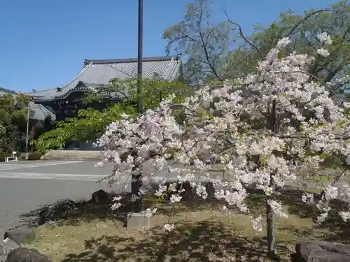 満福寺（三好稲荷閣）(愛知県)