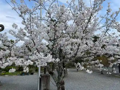 穴太寺(京都府)