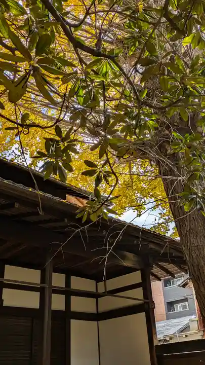 城安寺(京都府)