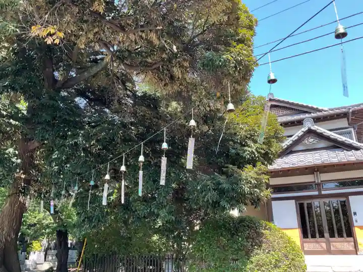 池上本門寺(東京都)