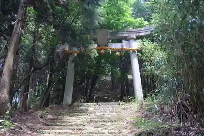 八幡神社(福井県)