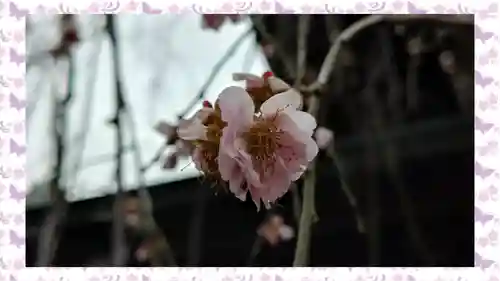 湯島天満宮(東京都)