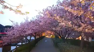 須佐乃男神社   (静岡県)
