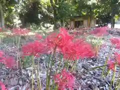 江守神社(福井県)