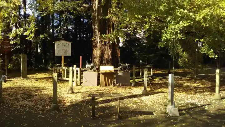 水戸八幡宮の自然