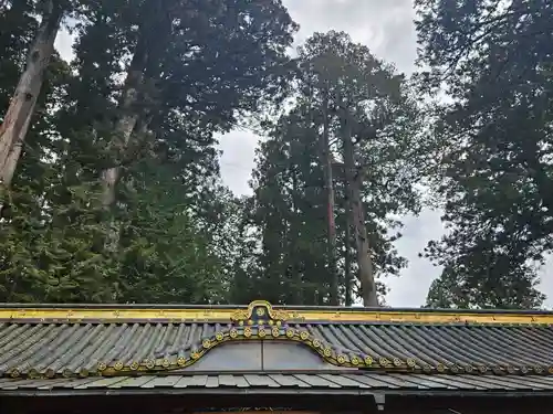 日光東照宮(栃木県)