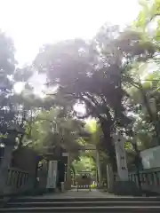 赤坂氷川神社の建物その他