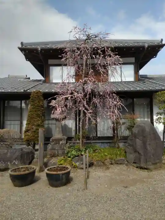 観音寺のその他建物