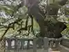 與止日女神社(佐賀県)