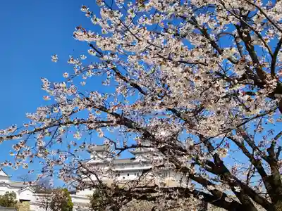 刑部神社の自然