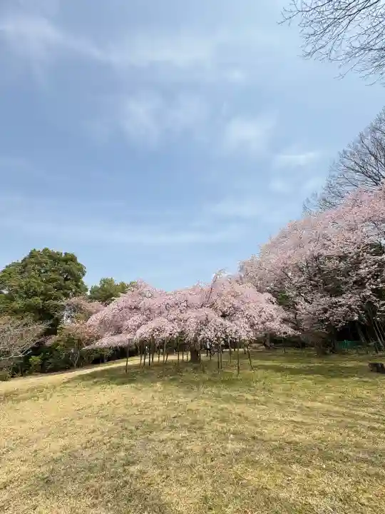 大神神社の{uncategorized: "未分類", other: "その他", undefined: "問題あり", building: "その他建物", grave: "お墓", sacred_gate: "鳥居", guardian: "狛犬", statue: "像", buddha: "仏像", history: "歴史", nature: "自然", garden: "庭園", animal: "動物", pagoda: "塔", temizu: "手水舎", mountain_gate: "山門・神門", sanctuary: "本殿・本堂", subordinate: "末社・摂社", art: "芸術", scenery: "景色", jizo: "地蔵", ema: "絵馬", goshuin: "御朱印", omikuji: "おみくじ", items: "授与品その他", amulet: "お守り", goshuincho: "御朱印帳", eats: "食事", festival: "お祭り", votive_dance: "神楽", shichigosan: "七五三参", wedding: "結婚式", experience: "体験その他", initially: "初詣", around: "周辺", anti_infection: "感染症対策"}