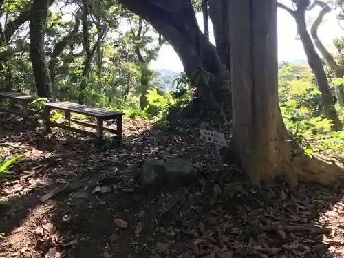 大聖院(高塚不動尊)の自然