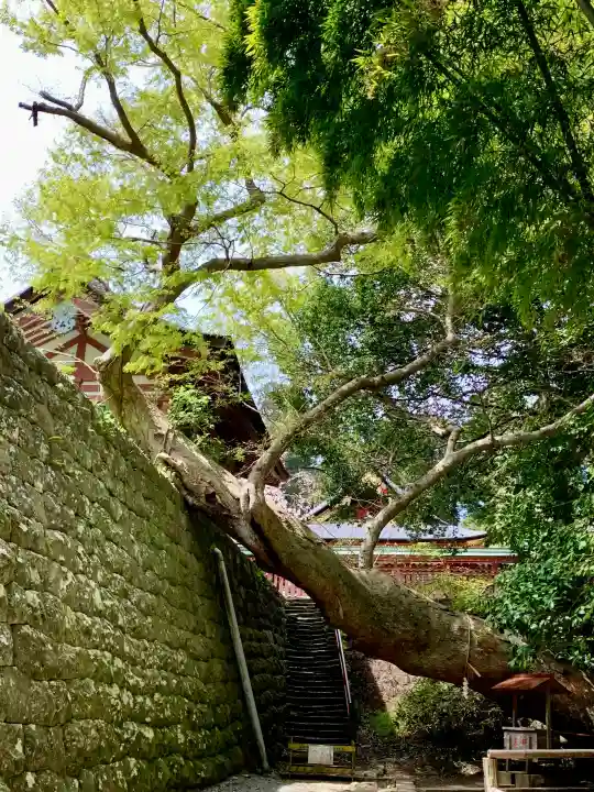 志波彦神社・鹽竈神社の{uncategorized: "未分類", other: "その他", undefined: "問題あり", building: "その他建物", grave: "お墓", sacred_gate: "鳥居", guardian: "狛犬", statue: "像", buddha: "仏像", history: "歴史", nature: "自然", garden: "庭園", animal: "動物", pagoda: "塔", temizu: "手水舎", mountain_gate: "山門・神門", sanctuary: "本殿・本堂", subordinate: "末社・摂社", art: "芸術", scenery: "景色", jizo: "地蔵", ema: "絵馬", goshuin: "御朱印", omikuji: "おみくじ", items: "授与品その他", amulet: "お守り", goshuincho: "御朱印帳", eats: "食事", festival: "お祭り", votive_dance: "神楽", shichigosan: "七五三参", wedding: "結婚式", experience: "体験その他", initially: "初詣", around: "周辺", anti_infection: "感染症対策"}