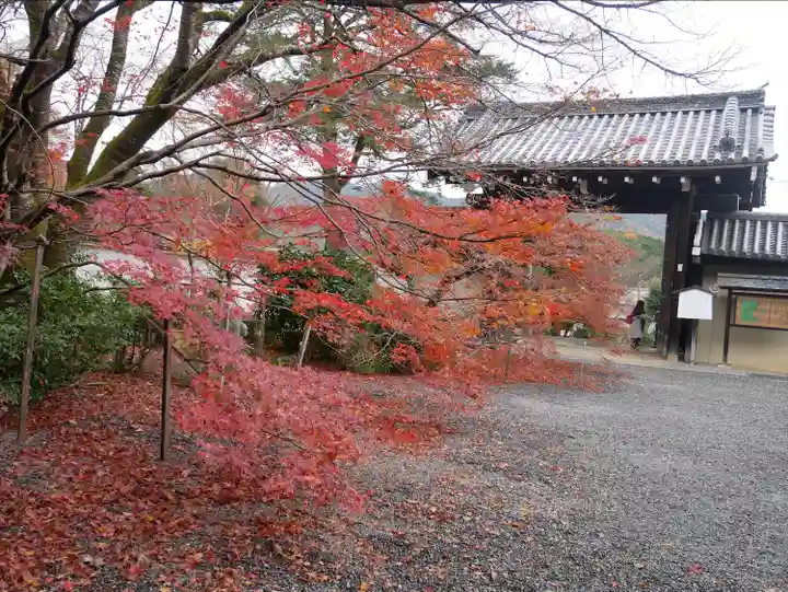 実相院門跡(京都府)