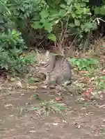 白幡八幡神社(神奈川県)