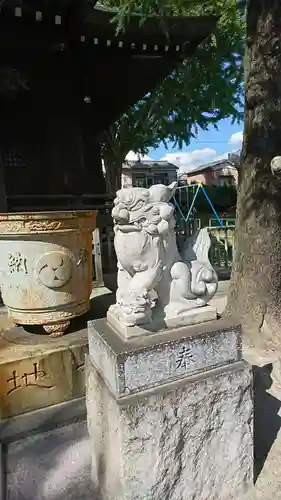 本木氷川神社の狛犬