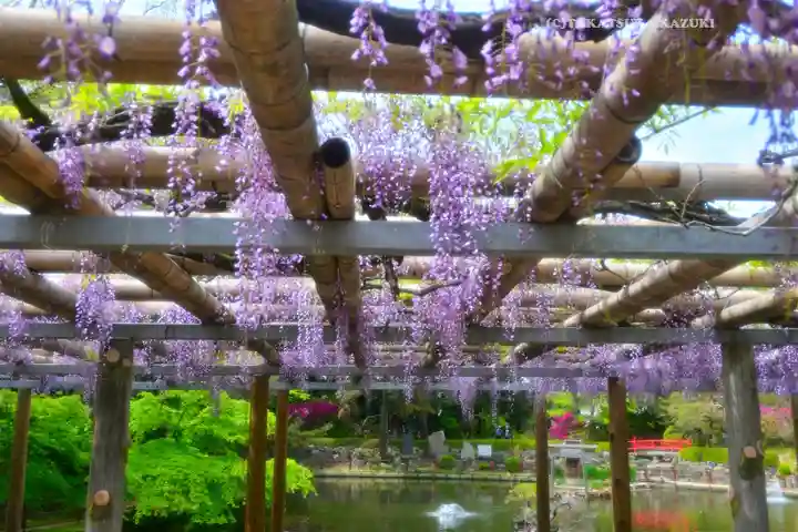 越ヶ谷久伊豆神社(埼玉県)