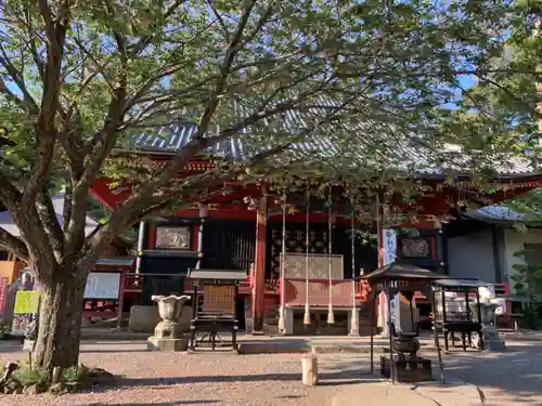 楽法寺（雨引観音）の本殿・本堂