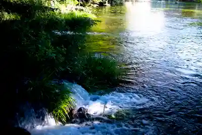 富士山本宮浅間大社(静岡県)