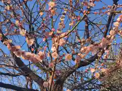 湯島天満宮の庭園