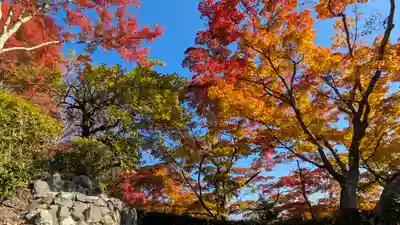 善峯寺(京都府)