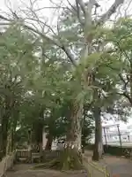 二郷神社の自然