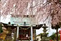 熊野福藏神社の景色