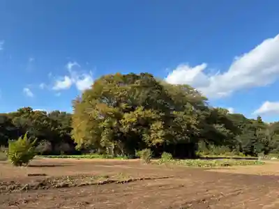 神明神社(千葉県)