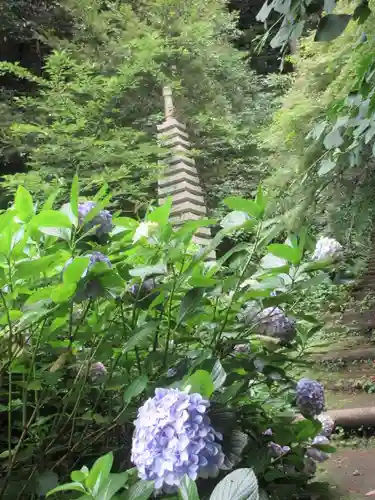 安國論寺（安国論寺）の塔