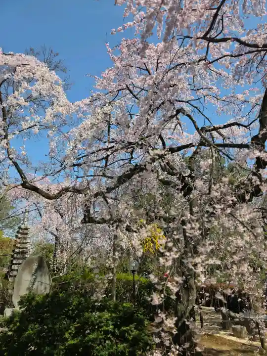 中院の{uncategorized: "未分類", other: "その他", undefined: "問題あり", building: "その他建物", grave: "お墓", sacred_gate: "鳥居", guardian: "狛犬", statue: "像", buddha: "仏像", history: "歴史", nature: "自然", garden: "庭園", animal: "動物", pagoda: "塔", temizu: "手水舎", mountain_gate: "山門・神門", sanctuary: "本殿・本堂", subordinate: "末社・摂社", art: "芸術", scenery: "景色", jizo: "地蔵", ema: "絵馬", goshuin: "御朱印", omikuji: "おみくじ", items: "授与品その他", amulet: "お守り", goshuincho: "御朱印帳", eats: "食事", festival: "お祭り", votive_dance: "神楽", shichigosan: "七五三参", wedding: "結婚式", experience: "体験その他", initially: "初詣", around: "周辺", anti_infection: "感染症対策"}