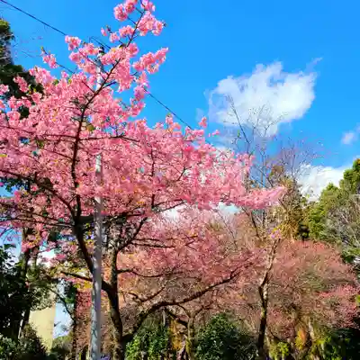 井伊谷宮(静岡県)