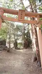 開運招福 飯玉神社の鳥居