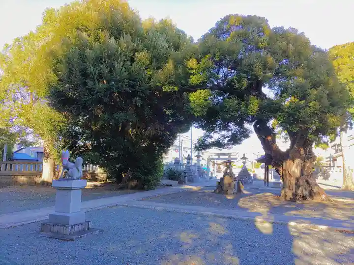 稲荷神社(小田渕町)の自然