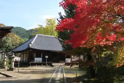 法界寺(日野薬師)(京都府)