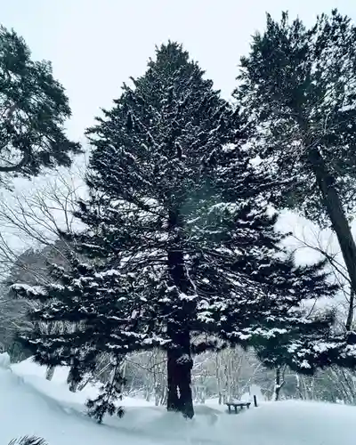 土津神社｜こどもと出世の神さまの自然
