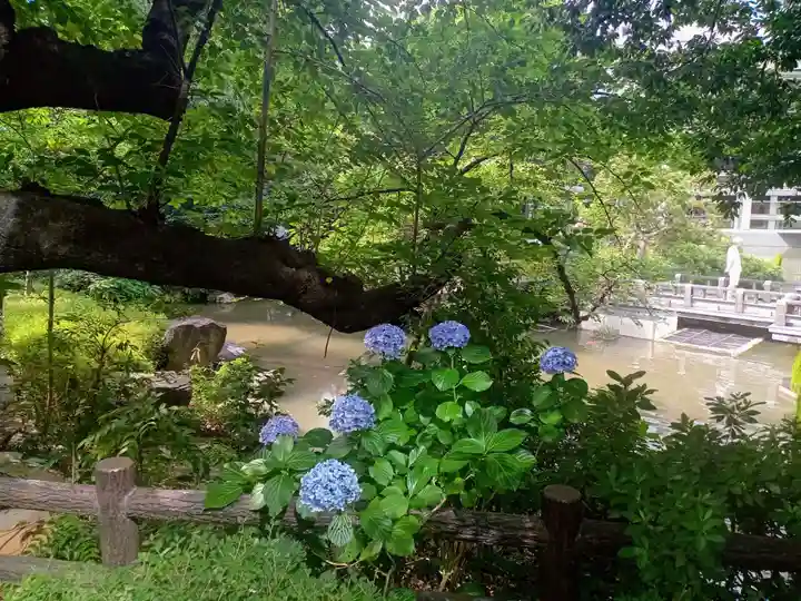 東郷神社(東京都)