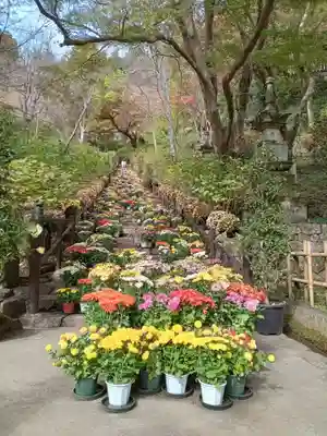 長谷寺(奈良県)