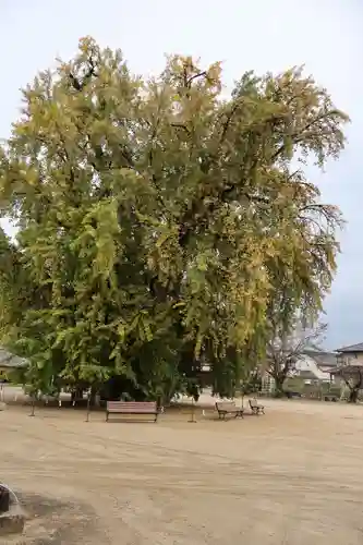吉備津神社(広島県)