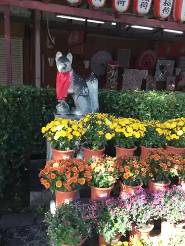 笠間稲荷神社の狛犬