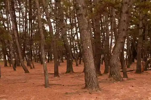 綱敷天満神社(愛媛県)