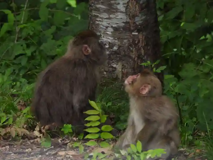 御嶽神社(王滝口)里宮(長野県)