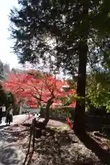 御蔭神社の建物その他