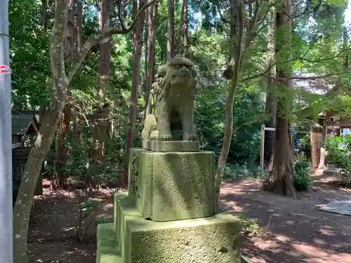 橿原神宮の狛犬