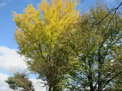 薬王寺(福島県)
