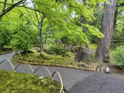 宝厳院(京都府)