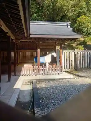 伊奈波神社(岐阜県)